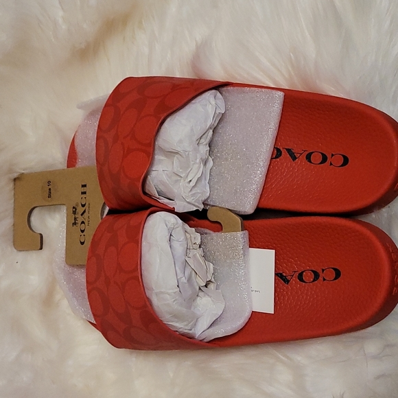 Coach Slides - Picture 2 of 3